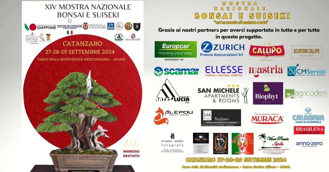 perla dello jonio - bonsai suiseki mostra nazionale